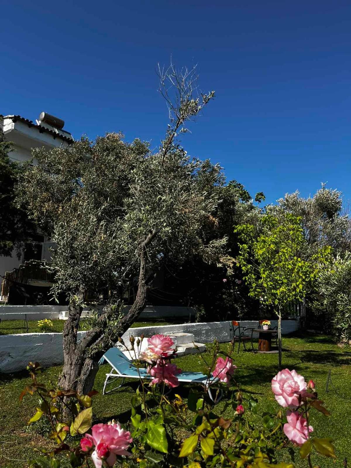 Savvinio Country Apartment Alexandroupoli Exterior foto